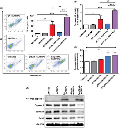 apoptosis assay elisa kit|apoptosis assay for adherent cells.